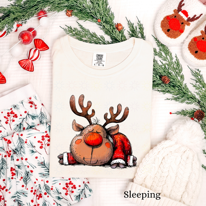 COMPLETED - Quirky Reindeer