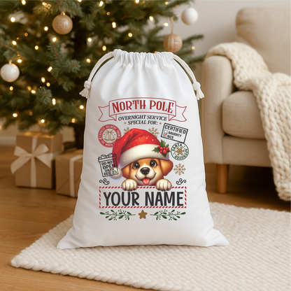 Character/Animal Santa Sacks