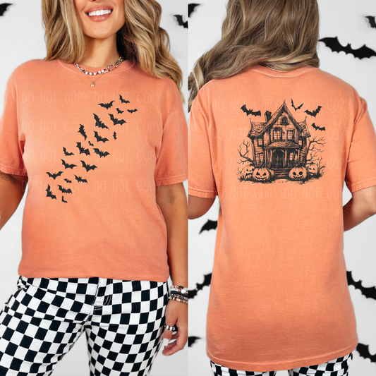 COMPLETED - Bats And Haunted House
