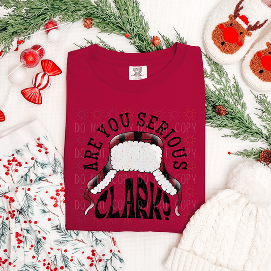 COMPLETED - Are You Serious?