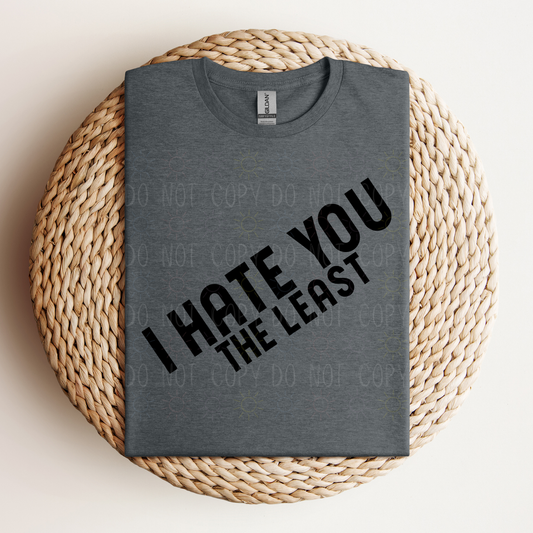 *BLACK FRIDAY FLASH DEAL* Completed - I Hate You The Least